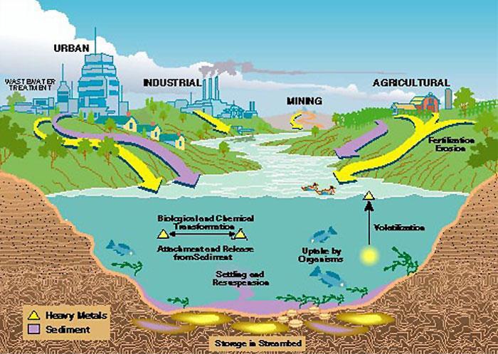 CONTAMINANTI EMERGENTI 3 DIFFUSIONE