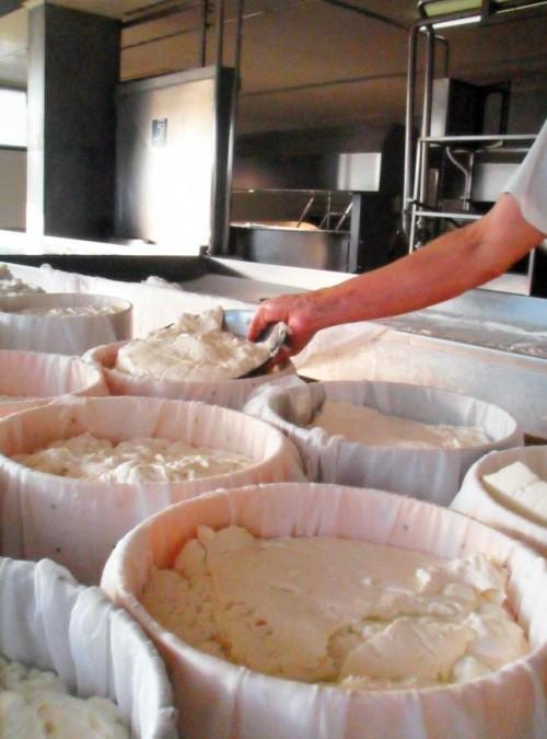 Lavorazione del Gorgonzola Dalla Lombardia al Piemonte Oggi il Gorgonzola è un formaggio a Denominazione di