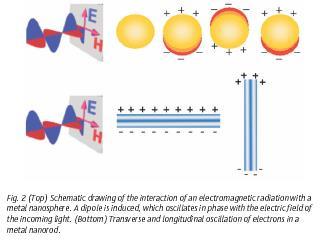 Optical properties of metallic nanoparticles The optical properties of small metal nanoparticles are dominated by the collective oscillation of conduction electrons resulting from the interaction