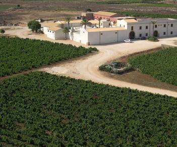 Il Baglio Donna Franca si trova nel cuore della Sicilia occidentale, sulle colline che dominano Marsala.