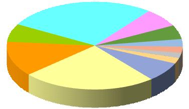 Contributi FP7, per Aree tematiche (in %) 27,6% 6,6% 12,9% 24,6% 7,2% 6,9% 5,2% 2,8% 2,3%