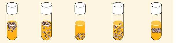 Fattori influenzanti la crescita (6 di 6) Ossigeno (O 2 ) Aerobi