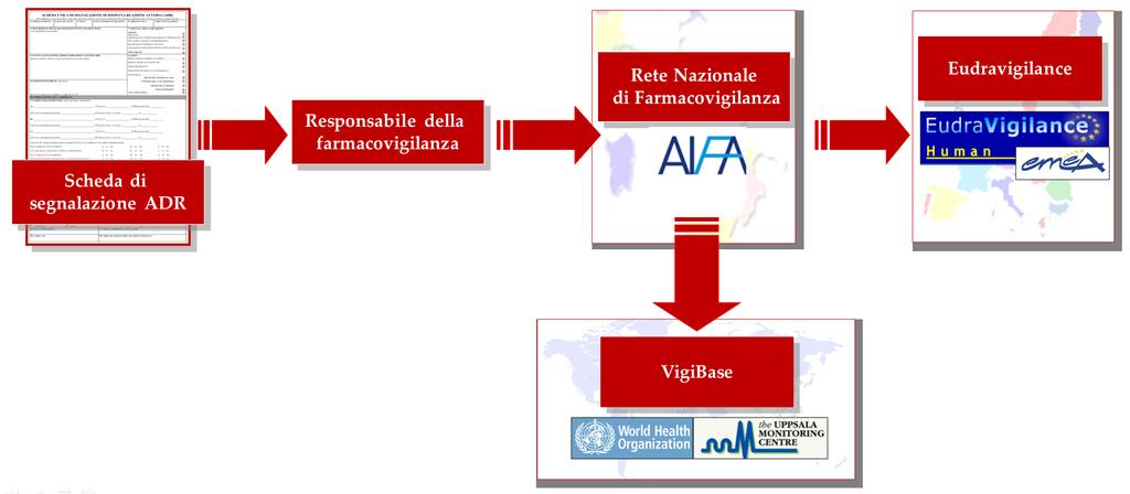 Percorso delle segnalazioni ADR ASL 8 Dott.ssa Maria Sandra Ledda tel.