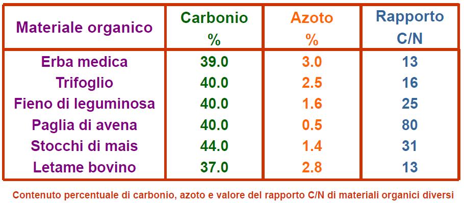 Il rapporto C/N del