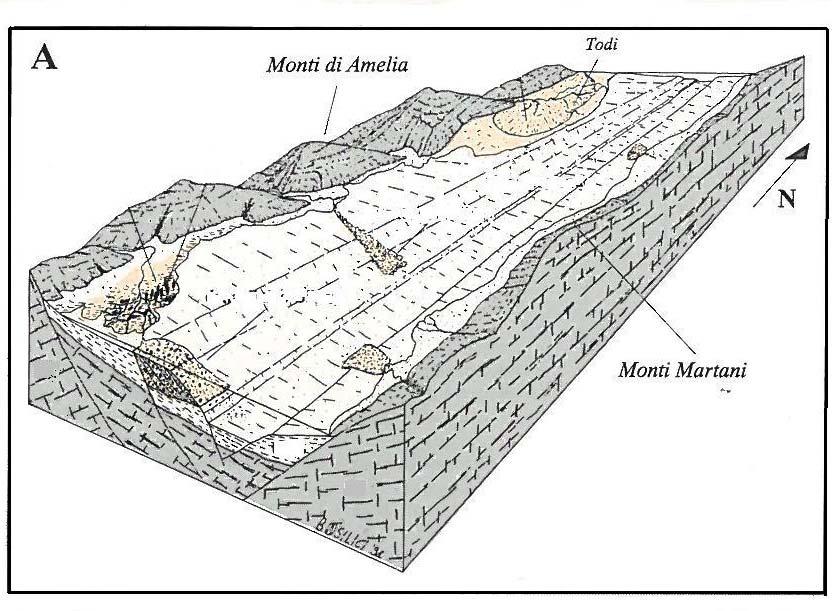 Fig. 1: assetto paleogeografico (Basilici 1993) I complessi geologico-stratigrafici riconosciuti e cartografati nelle fasi del rilievo geologico di dettaglio eseguito a corredo dello studio geologico