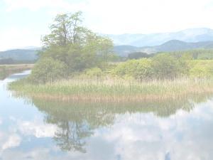 PAESAGGIO Le scelte progettuali orientate alla riqualificazione del bacino fluviale in un processo di miglioramento multiobiettivo (ambientale,