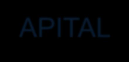 UN APPROCCIO DI TIPO RISK CAPITAL BASED Distribuzione probabilità campionaria patrimonio netto ( mln) 70 60 50 40 VaR 5% VaR 25% VaR 95% 30 20 10 0-8 -7,5-7 -6,5-6 -5,5-5 -4,5-4 -3,5-3 -2,5-2 -1,5-1