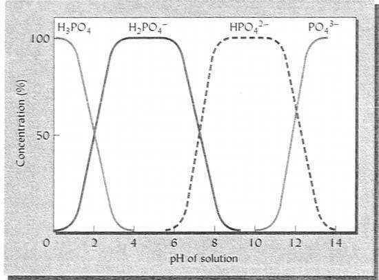 Lo stato e la dinamica dei composti del P sono dominati dalla dipendenza e dal grado di dissociazione dell acido ortofosforico H 3 PO 4 in