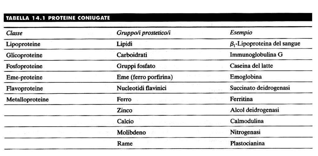 SEMPLICI : costituite solo da amino acidi PROTEINE CONIUGATE