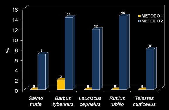 Proportional Stock Density (PSD) Risultati Salmo (trutta) trutta METODO 1 METODO 2 Stock 14 cm 22 cm Quality 23 cm 25 cm Barbus tyberinus METODO