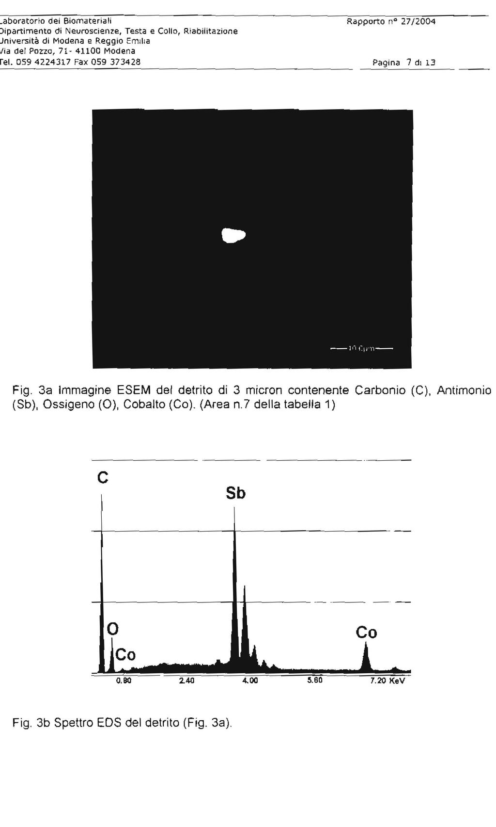 aboratorio dei Biomateriali Rapporto no 27/2004 ipartimento di Neuroscienze, Testa e Collo, Riabilitazione niversità di Modena e Reggio Emilia lia de) POZZO, 71-41100 Modena ei.