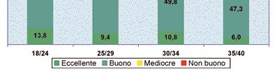 %) giovani con SM giovani Eccellente 9,0 18,2 Buono 52,8 67,9 Buono o eccellente 61,8 86,1 Mediocre 31,8 12,9 Non buono 6,4 1,0 Mediocre o non buono 38,2 13,9 Totale 100,0 100,0 FONTE: INDAGINE