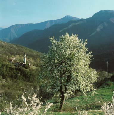 Feligara si trova proprio dirimpetto al Monte Lesima, sotto la strada provinciale Figura 90 Feligara, panorama d inverno Da: A.
