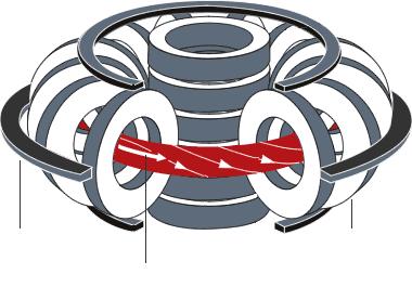 Bobine campo verticale Bobine campo toroidale Corrente di plasma Figura 1.2: Schema della congurazione Tokamak e RFP 1.