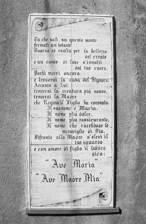 di pollo o due acciughe. Non c era posto per la bottiglia dell acqua e poi noi avevamo la vasca sotto il tetto e d estate era calda e puzzava.