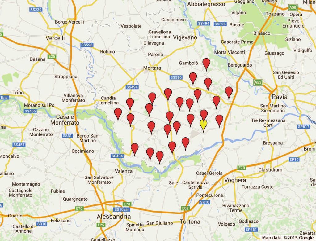 168 Welfare locale tra continuità e innovazione Garlasco (9.819 abitanti), Mede (6.919 abitanti), Sannazzaro (5.920 abitanti), Gropello (4.598 abitanti), Dorno (4.684 abitanti).