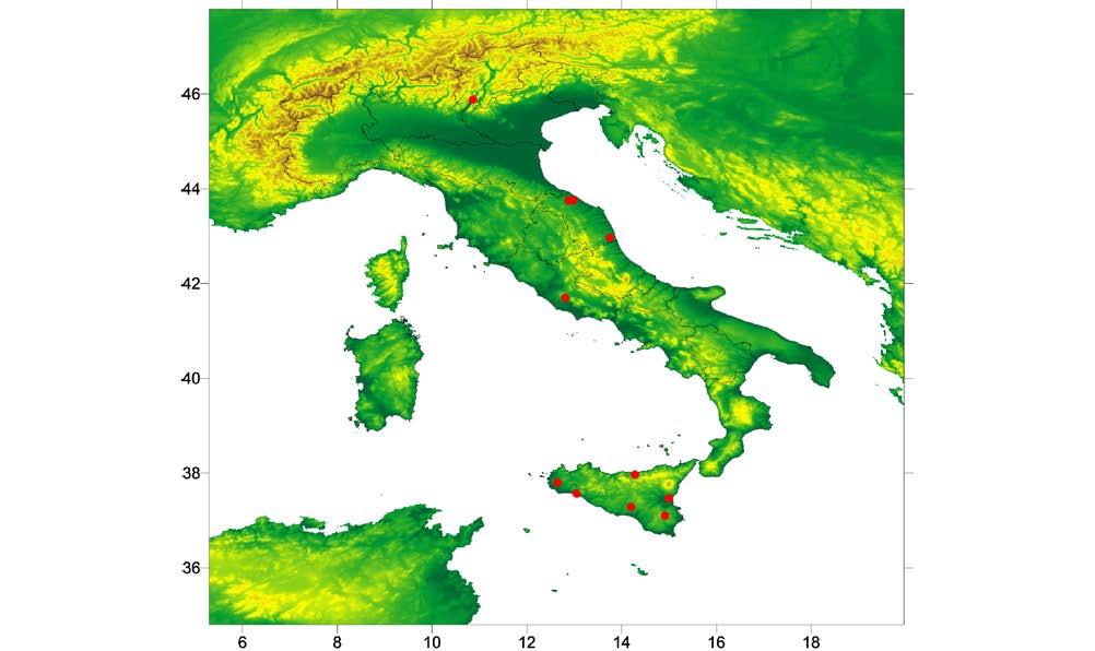 8 Analisi fenologica stato attuale Olea europaea L. Fig.8 Phenological analysis actual development of Olea europaea L. Fig. 9 Punti di osservazione per Olea europaea L.