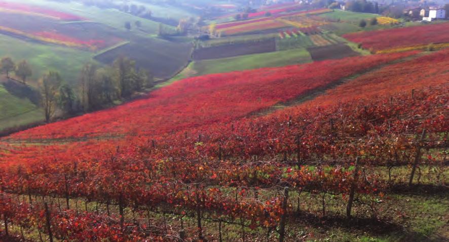 Di giorno potrete godere dell esplosione di colori, il paesaggio che cambia di ora in ora e con il passare delle stagioni; di notte, invece, potrete assistere ad un piccolo presepio a cielo aperto,