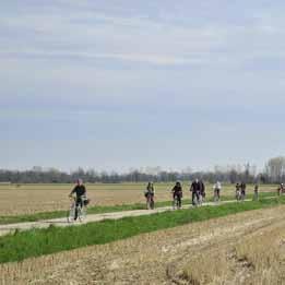 Comune di Noviglio 31 Noviglio, come i comuni di Gaggiano e Zibido, presenta un territorio prevalentemente agricolo dominato da