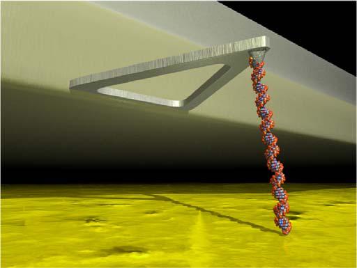 AFM-based force spectroscopy to study polymer desorption from surfaces: DNA from mica.