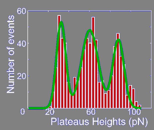 The distribution of plateaus forces for the ds-dna pulling