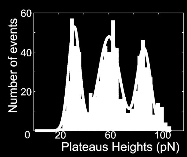 approximately 30 pn is found from the distribution of singleevent