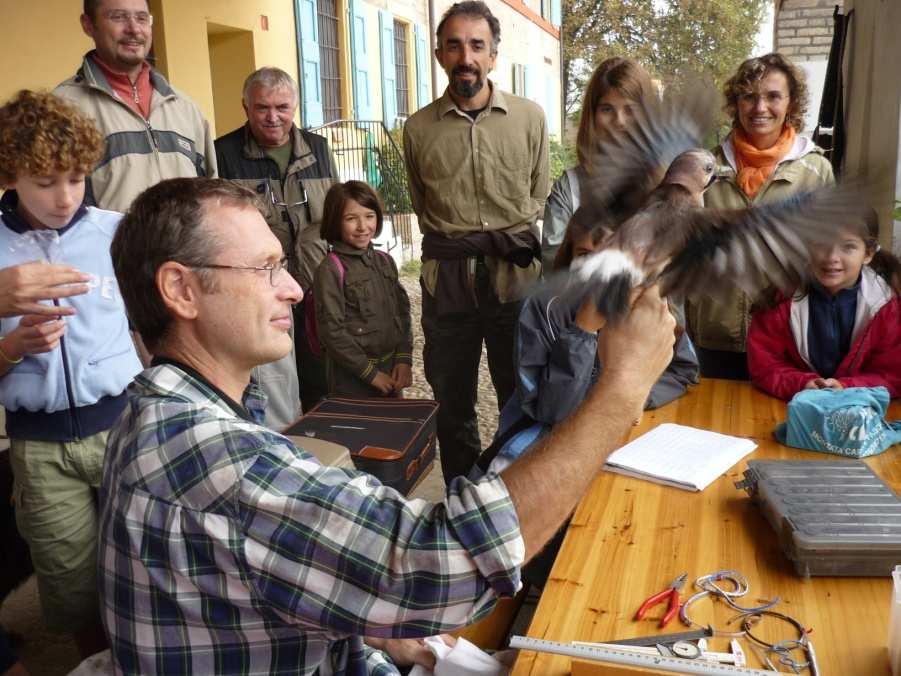 L inanellamento diventa anche un interessante supporto all educazione ambientale, incentivando l interesse per la fauna da parte di scolaresche di ogni ordine e grado. Chi sono gli inanellatori?