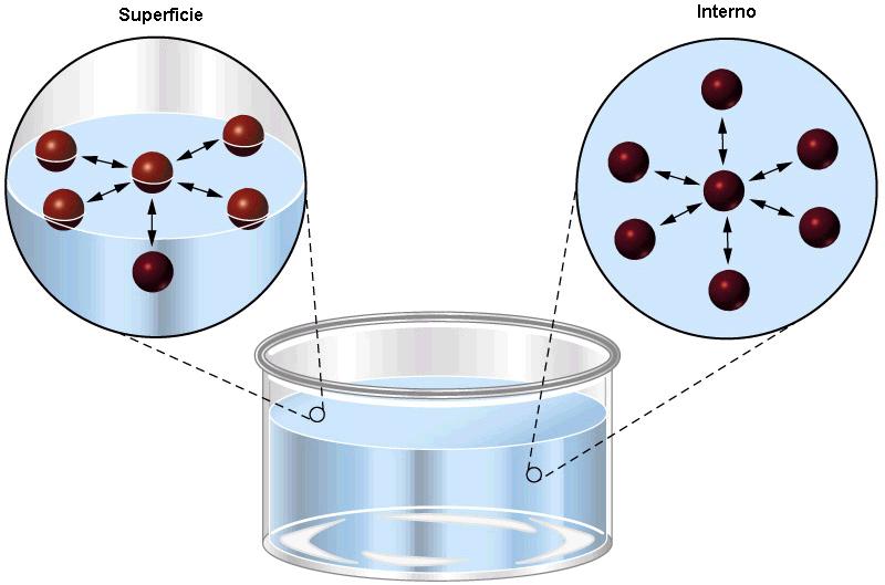 Tensione superficiale I liquidi hanno la tendenza ad assumere l area superficiale minima.