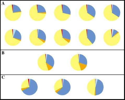 (A) Oocytes with a high level of pro-apoptotic gene expression, possessing an imbalance towards programmed cell death.