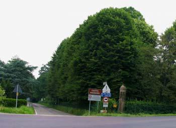 Rossi con corte rurale e verde di