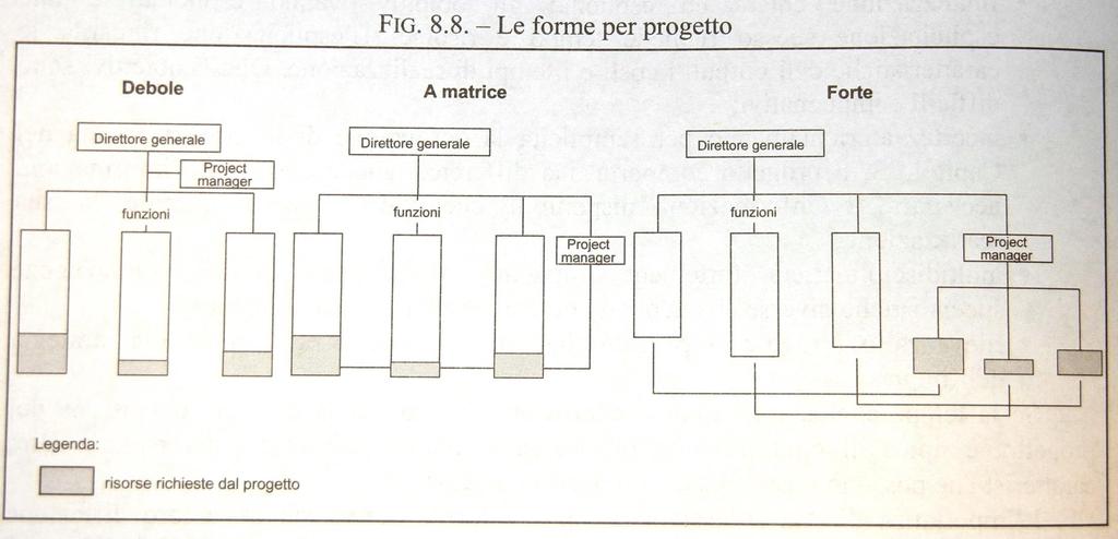 Forme diverse di