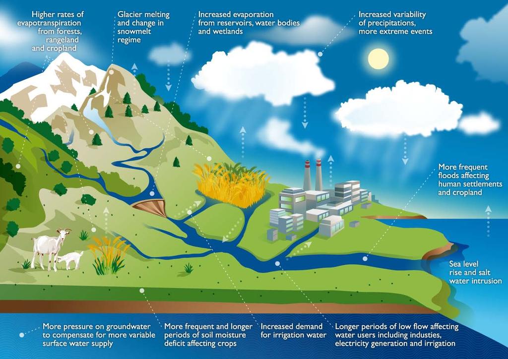 Il ciclo dell acqua è