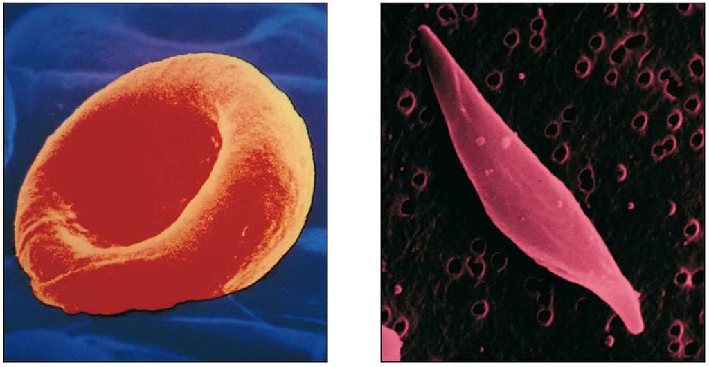 1) Un gene-un enzima 2) Un gene- una catena polipeptidica 3) Un gene è una unità funzionale di DNA che codifica per la