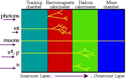 η <2.5, B=2T) : -- Si pixels and strips -- Transition Radiation Detector (e/π separation)!