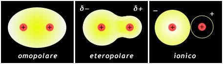 Una molecola polare contiene cariche parziali