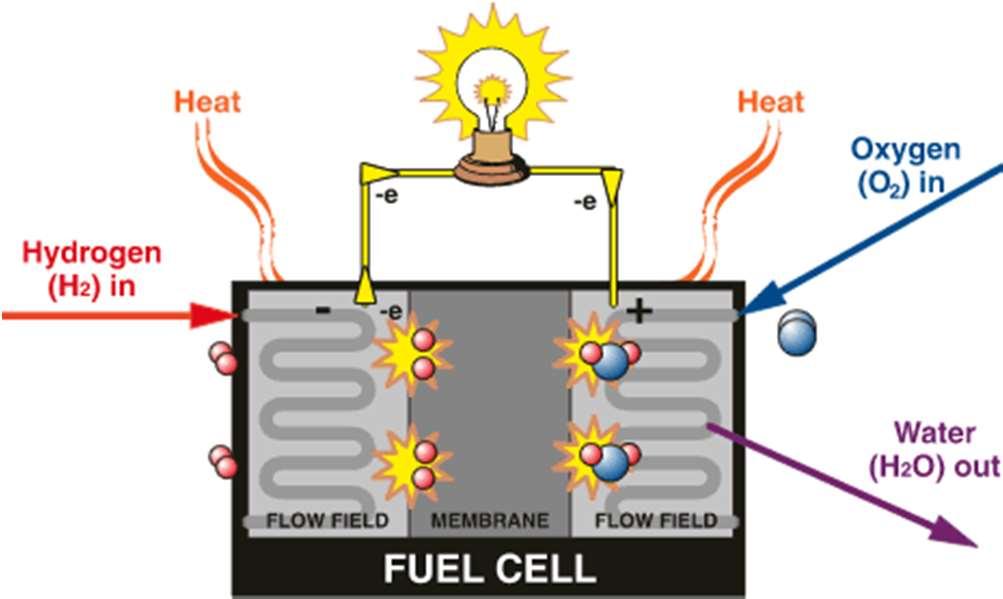 Microgeneratori La pila a combustibile e' un generatore elettrochimico in cui, in linea di principio, entrano un combustibile (tipicamente idrogeno) e un ossidante