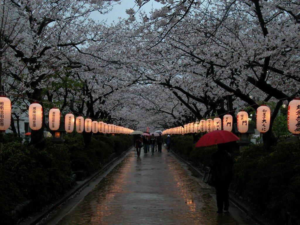 5 GIORNO : HAKONE NAGOYA TSUMAGO & MAGOME TAKAYAMA C OLAZIONE, LUNCH BOX E CENA Ritrovo nella lobby e spostamento alla stazione di Odawara in pullman con guida in lingua italiana.