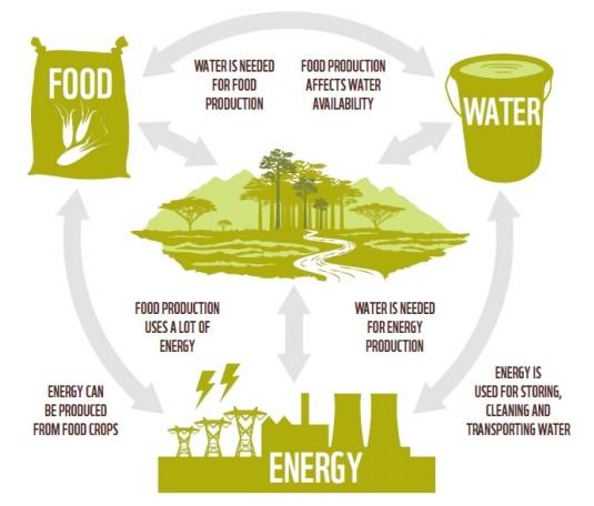 Alimenti - Energia - Acqua Una relazione coniugata in modo profondamente diverso nei diversi contesti socioeconomici rurali Un obiettivo comune, necessario,