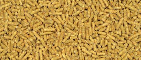 PROGRAMMA ALIMENTARE POLLI TECNOLOGICO - FRUTTO DELLA SAGGEZZA Pollomagnum P2 Pellet piccolo. Crescita rapida e carni saporite, per allevare con grinta.