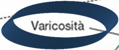 iride, tratto genitale maschile Consente un controllo fine della contrazione e