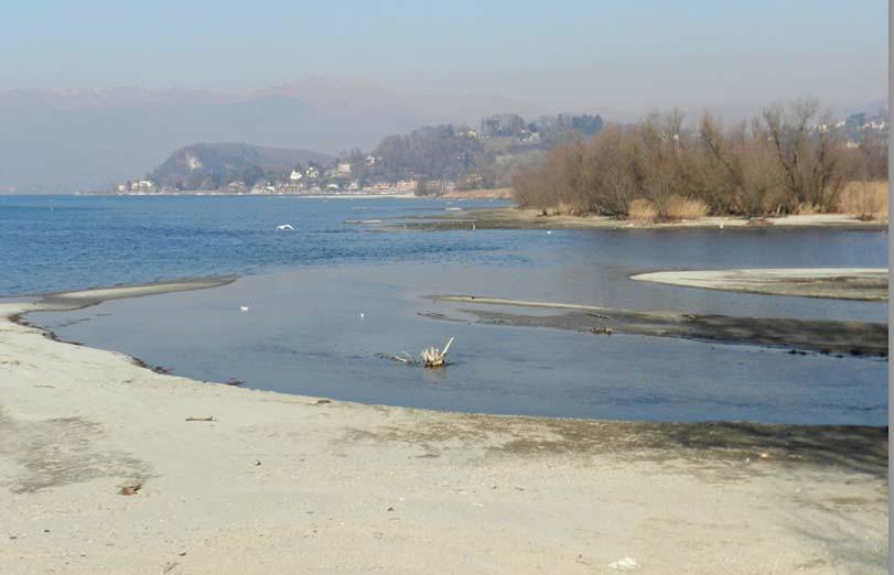 Foto 1: il basso livello delle acque a gennaio nella parte meridionale della Bozza Monvallina, all uscita del fiume Bardello.