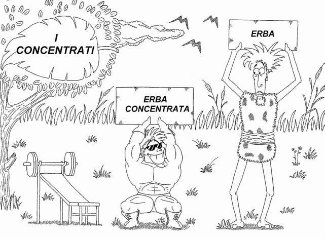 La nostra filosofia A metà degli anni 80 nacquero i primi estratti concentrati: diciture 1:4 ad esempio, stavano ad indicare che da 4 kg di erba si otteneva 1 kg di prodotto (4 volte più concentrato).