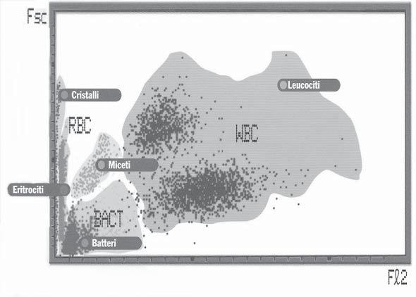 220 RIMeL / IJLaM 2006; 2 Figura 2. Risultati visibili sulla schermata principale del citofluorimetro Sysmex UF-100 dopo analisi di un campione di urina. Figura 3.