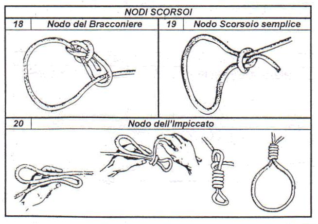 Nodi SCORSOI 18. Nodo del Bracconiere detto anche Gassa d amante scorsoia È una Gassa d amante semplice nel cui occhio è inserito il dormiente.