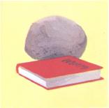 44. Pesa un libro. Ora pesa un sasso. Il peso delle cose è una maniera per misurare la forza della gravità che le tira giù. Questo libro pesa mezzo chilo. Questo sasso pesa due chili e mezzo.