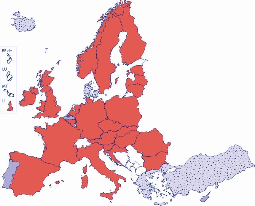 CLIL IN EUROPA NELL ISTRUZIONE PRIMARIA E SECONDARIA 2010/12 Insegnamento di tipo CLIL in alcune scuole Insegnamento di tipo CLIL solo all interno di progetti pilota Nessun insegnamento di tipo CLIL