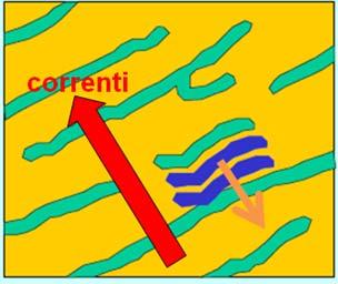 Prateria ad atollo: forse vecchie colline, anello di Posidonia