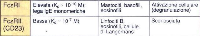 2,4 ng/ml 80-100IU