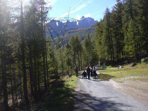 Di fronte, nella zona a prato verso la montagna, è presente un espositore di forma piramidale triangolare (Foto 15) illustrante il territorio, la flora e la fauna con caratteri di stampa