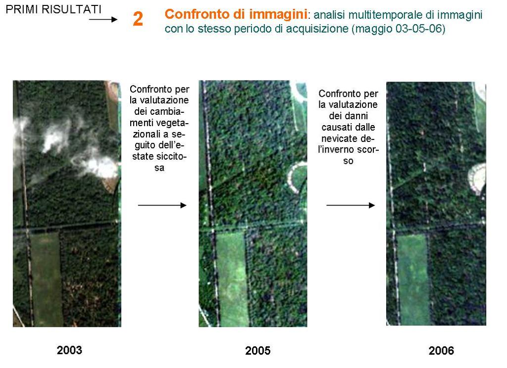 Il abbondante scoperte sistema del è stato nevicata bosco utilizzato del 2005 per quantificare e